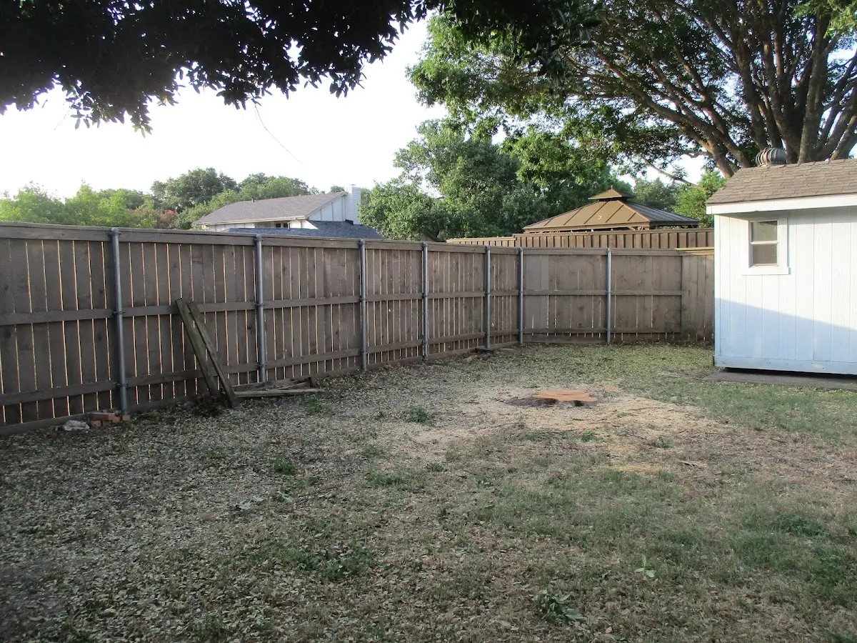 Cleared yard after professional tree removal in Ouray